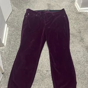 Torrid velvet pants